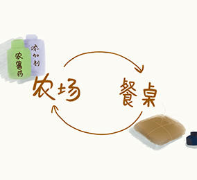 食物為什么會有化學(xué)污染呢？