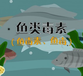 食品有意思：吃魚也中毒？ 