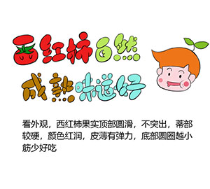 如何選購(gòu)西紅柿？