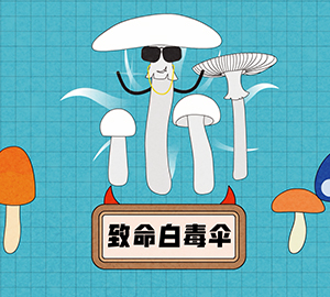 致命白毒傘是什么？
