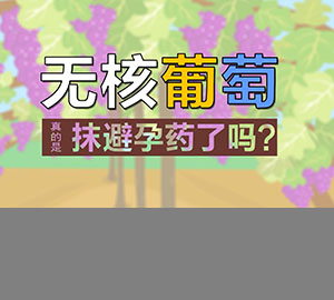 食品安全科普：無核葡萄真的是抹了避孕藥了嗎？