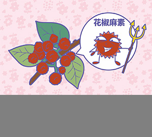 科普視頻：花椒為什么那么麻？（匹配百科詞條：花椒、花椒麻素）
