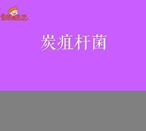 科普視頻:如何預防炭疽桿菌感染？
