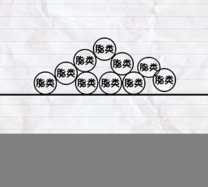 令人又愛(ài)又恨的“脂類”營(yíng)養(yǎng)素